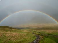 Soggy summer